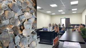 18 years in prison for pangolin scales