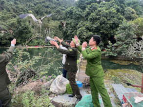 Authorities in Hai Phong releasing birds. By KLHP