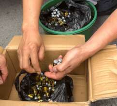 350 vials of bear bile confiscated in Phuc Tho