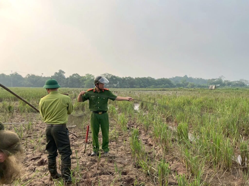 Bird nets confiscated in Phu Tho