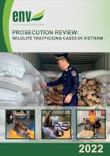 Prosecution Review 2022