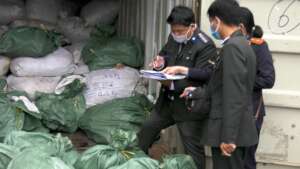 Incineration of seized illegal wildlife products