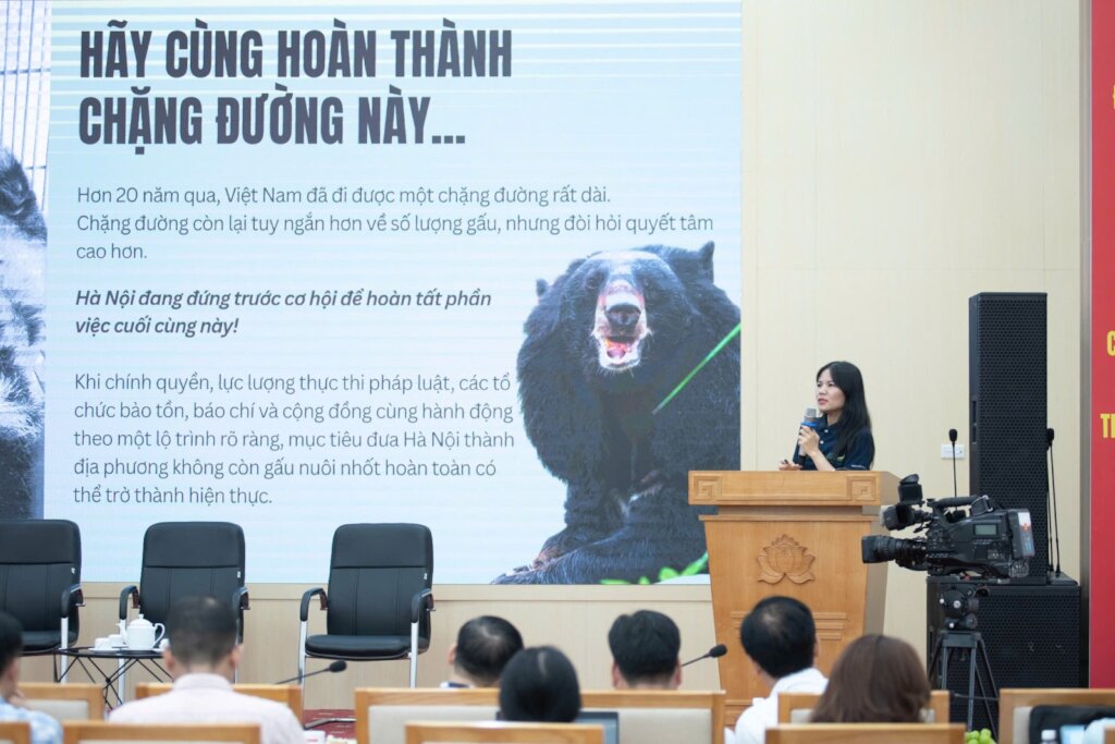 Roundtable meeting on ending bear bile farming