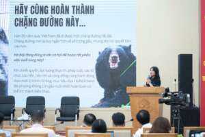 Roundtable meeting on ending bear bile farming