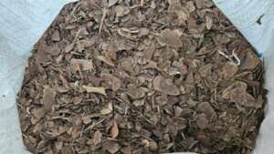 SD33766 Evidence seized, June 11, 2025 (Police-R)