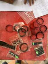 Sea turtle products confiscated from shop