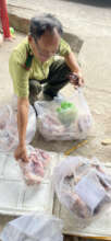 Ferret badgers and Asian koels confiscated in HCMC