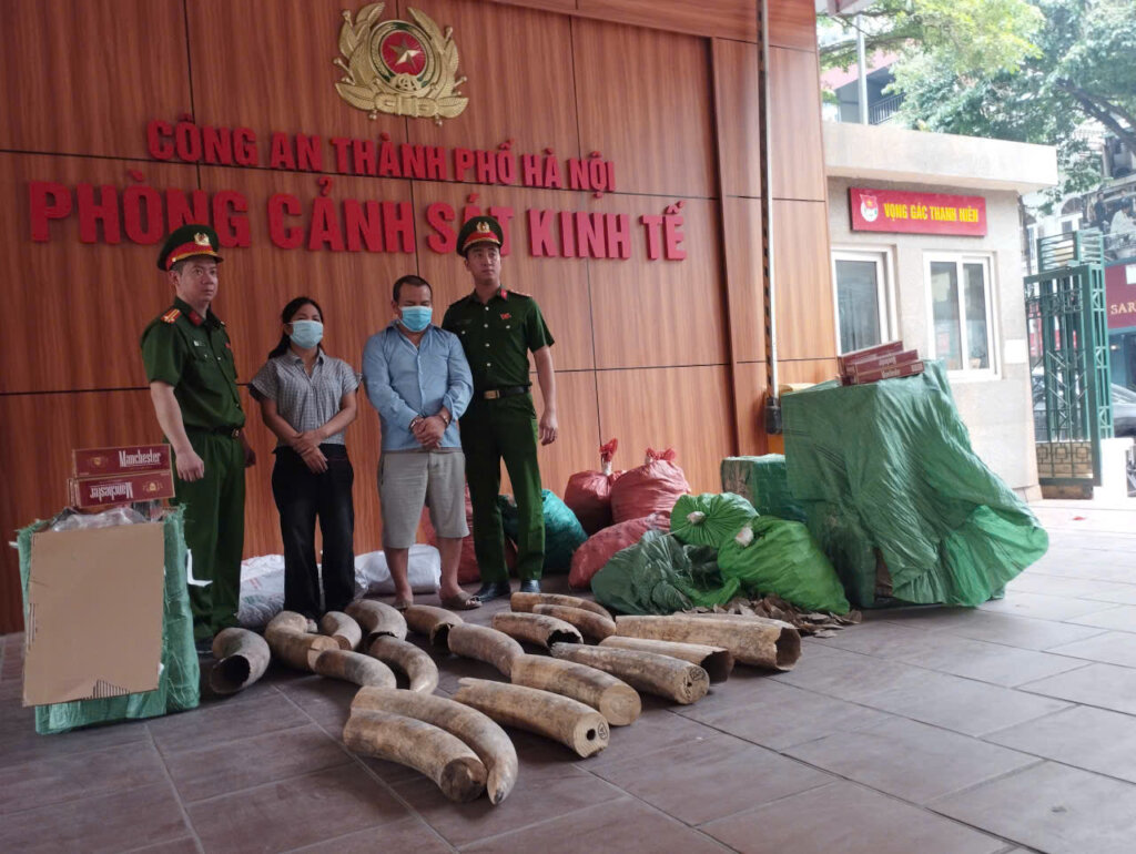242kg of ivory and 240kg of pangolin scales seized
