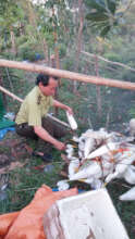 Bird nets and decoy birds confiscated in Hue