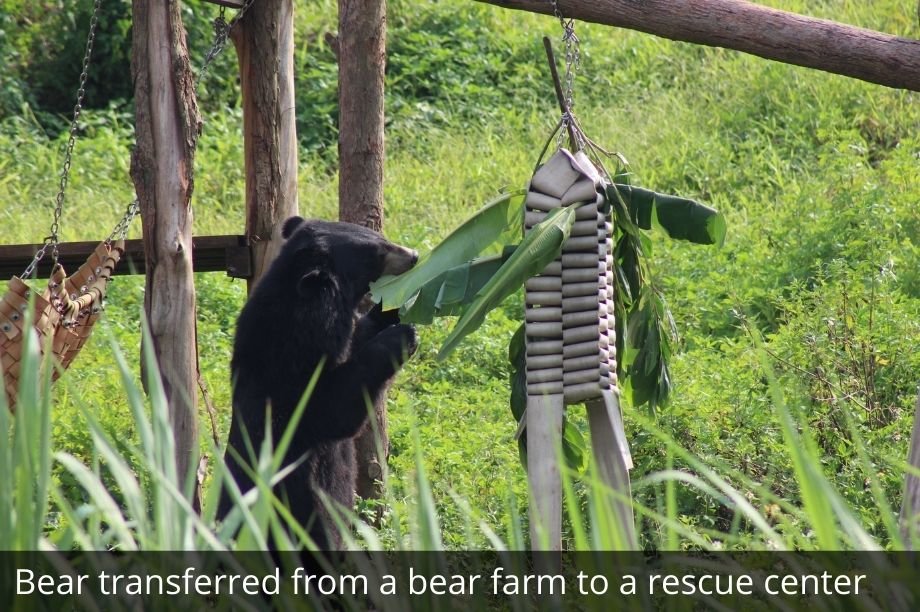 Help 30 Women Fight Wildlife Crime in Vietnam