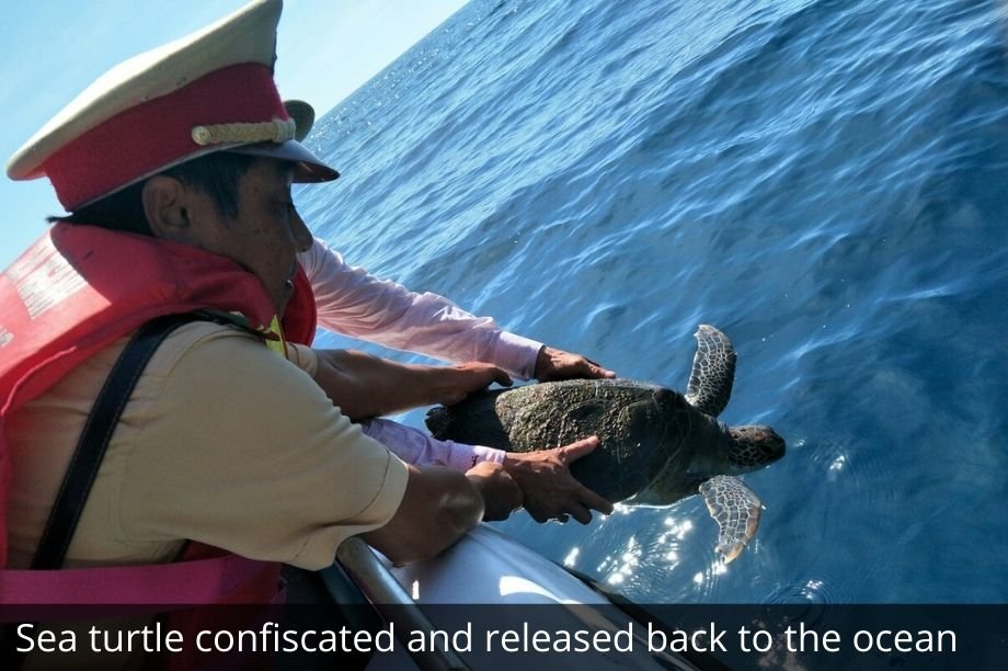 Help 30 Women Fight Wildlife Crime in Vietnam