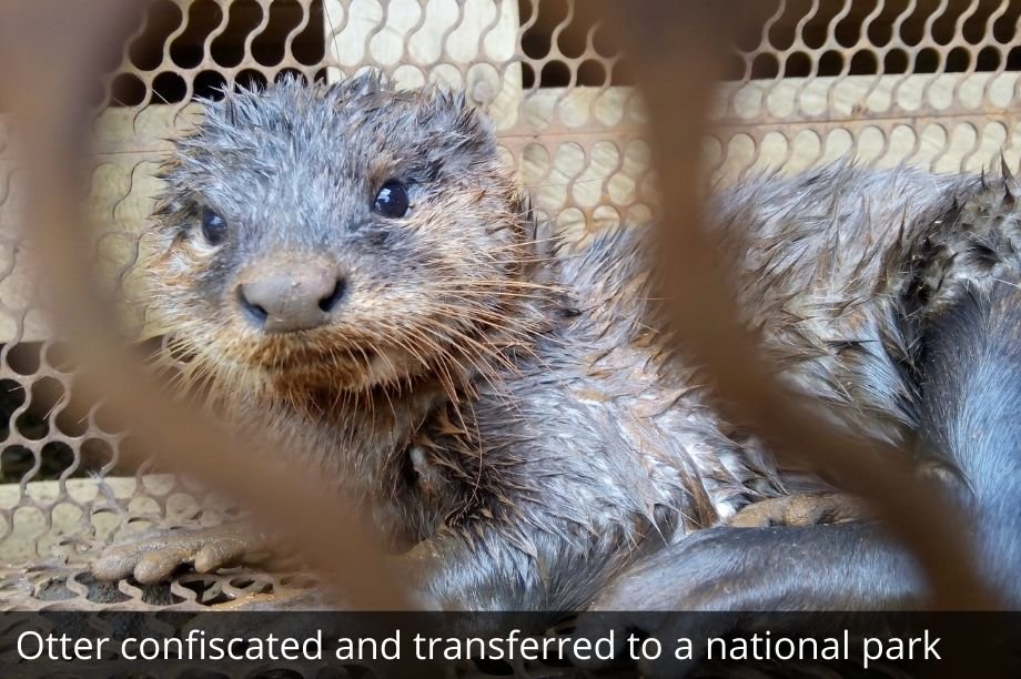 Help 30 Women Fight Wildlife Crime in Vietnam