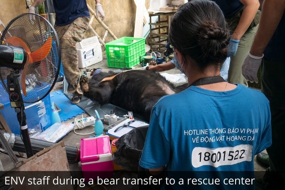 Help 30 Women Fight Wildlife Crime in Vietnam