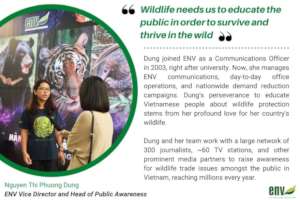 Head of Public Awareness at ENV