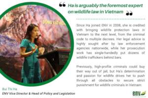 Head of ENV's Legal Department