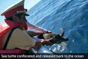 Sea turtle confiscated and returned to the ocean