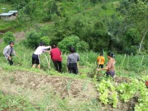 Sutami grows her own veggies to help her family