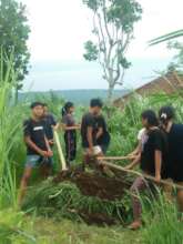 Making organic compost