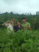 Students harvesting vegetable