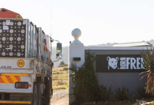 Arrival at Shamwari (c) Brad Louwrens