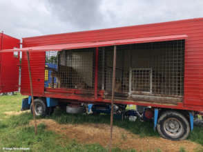 Circus accommodation