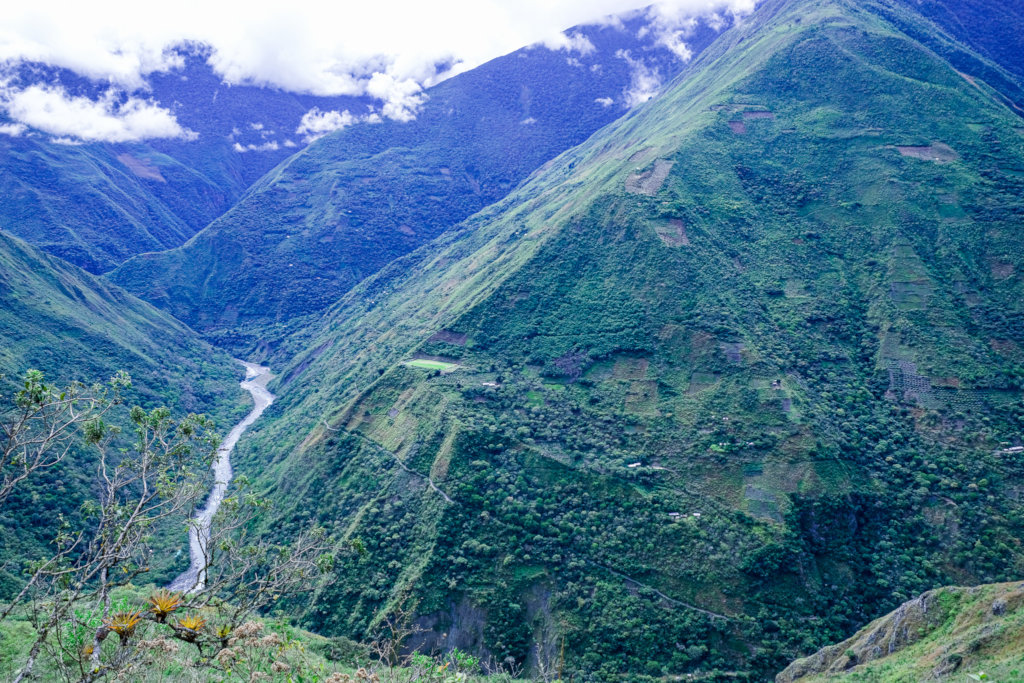 Doubling Income for the Poorest Farmers in Peru