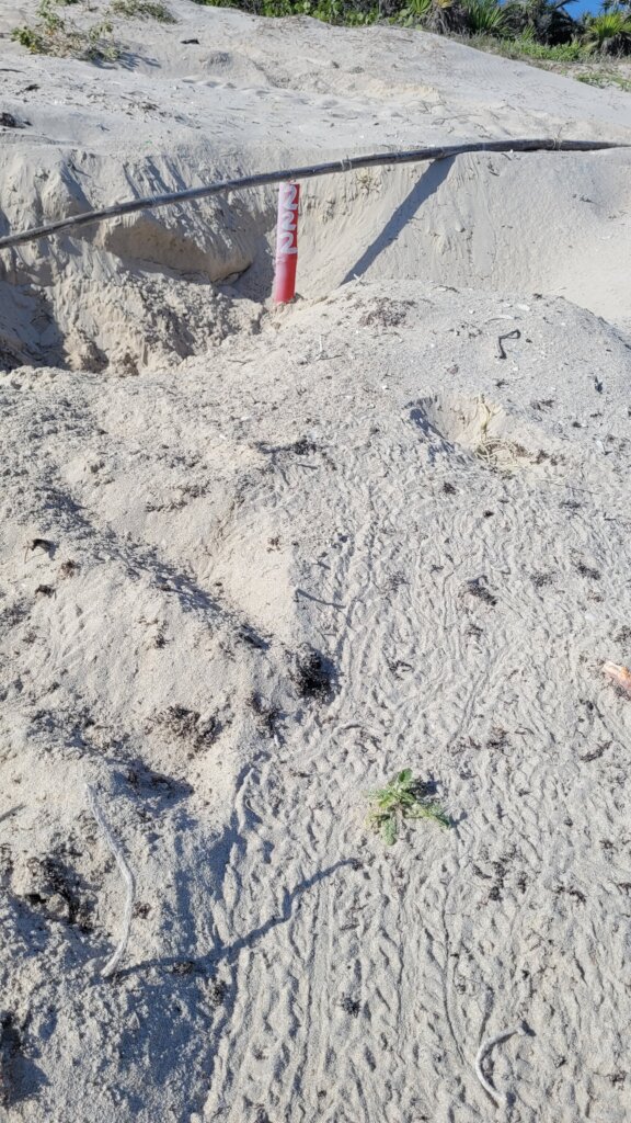 Tiny tracks of sea turtle hatchlings in El Cuyo.