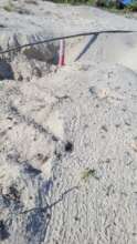 Tiny tracks of sea turtle hatchlings in El Cuyo.