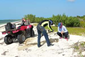 ATVs are an essential tool for our work.