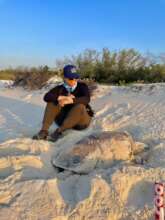 Marcela with turtle and nest number 4 in El Cuyo