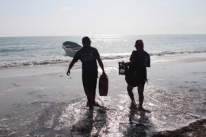 Our team finishing their survey in Holbox
