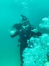 Exploring under the sea.