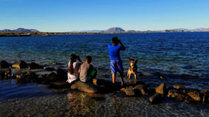 Practicing marine mammal survey techniques