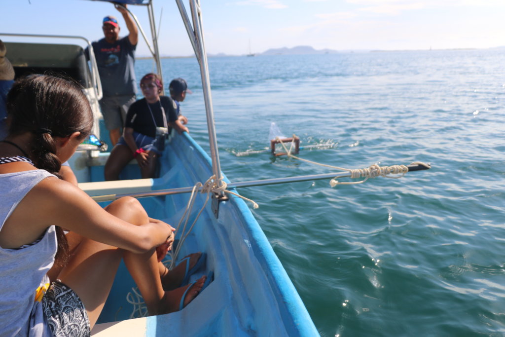 Cultivating Baja Conservation Leaders for Tomorrow