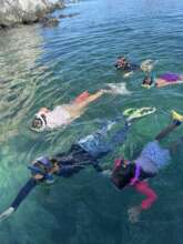 Aventureros meet the sea lions with Meghann