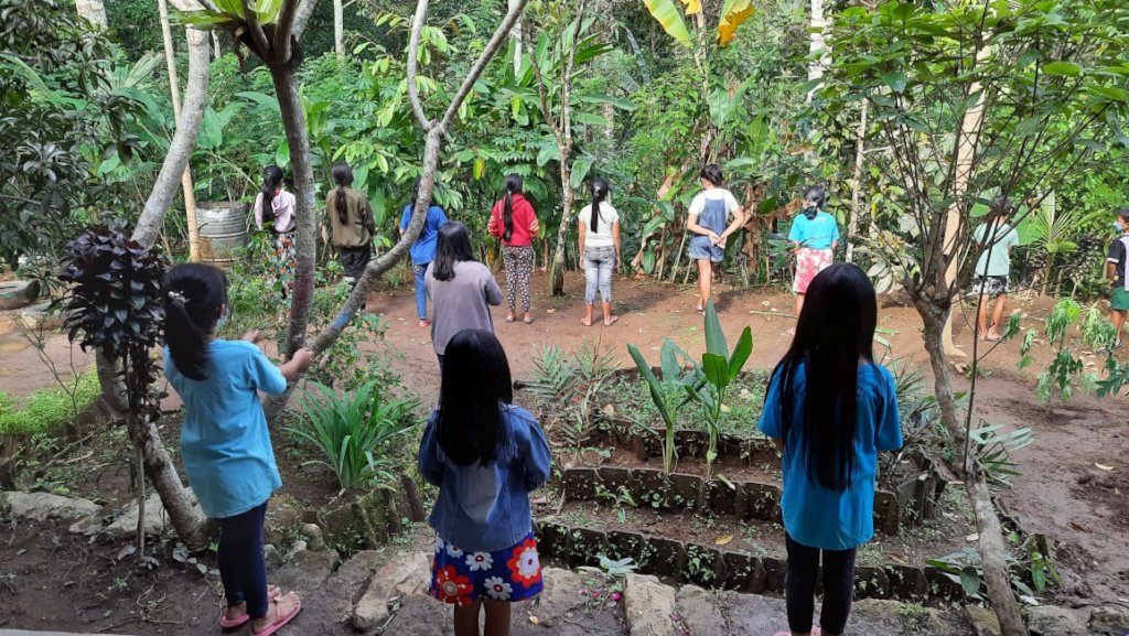 Observing and imagining what to cook from garden
