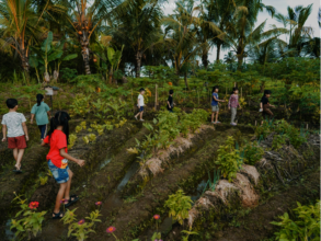 Flowerbud: Permaculture Field Trip