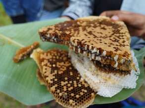 The beekeepers from Tabanan Bali apiary
