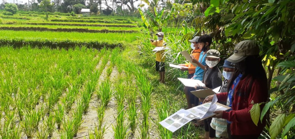 Help Educate 50 Village Children in Bali