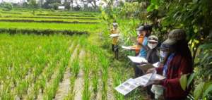 Observing Animals And Plants