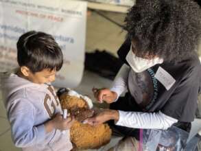 A Teddy Bear and It's Owner Receive Acupuncture