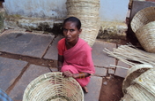100 Poor Indian Widows Livelihood by Baskets Work 