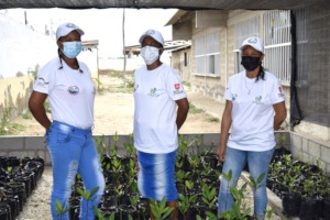 Mothers working in the mangrove nursery