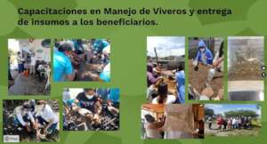 Workshop_Training_Colombia
