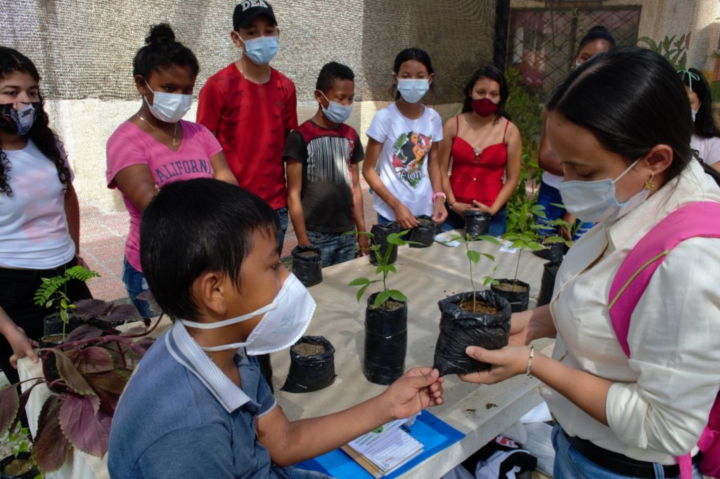 Reviving Haiti & Colombia's Mangroves