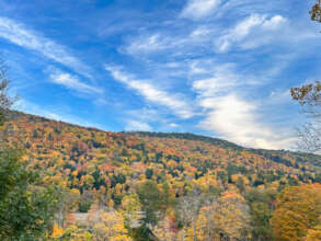 Autumn at Deer Run Nature Preserve