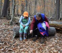 Learning in the Woods