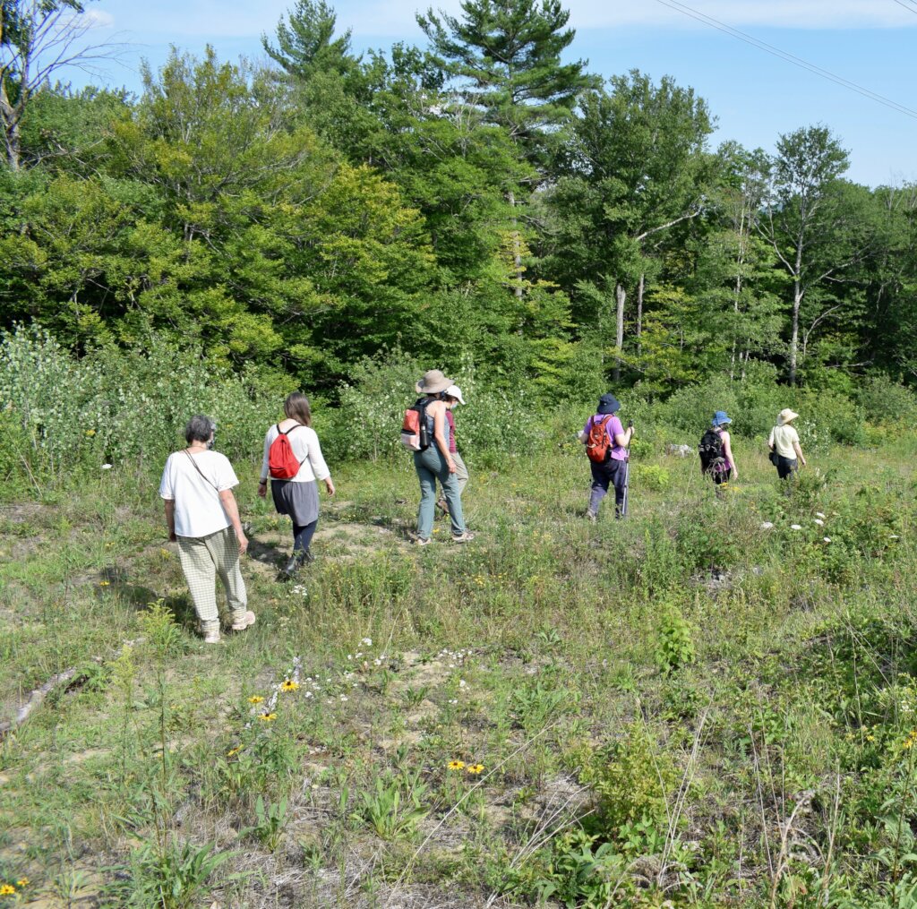 Green Mountain Conservancy Land Conservation Fund