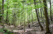 Green Mountain Conservancy Land Conservation Fund
