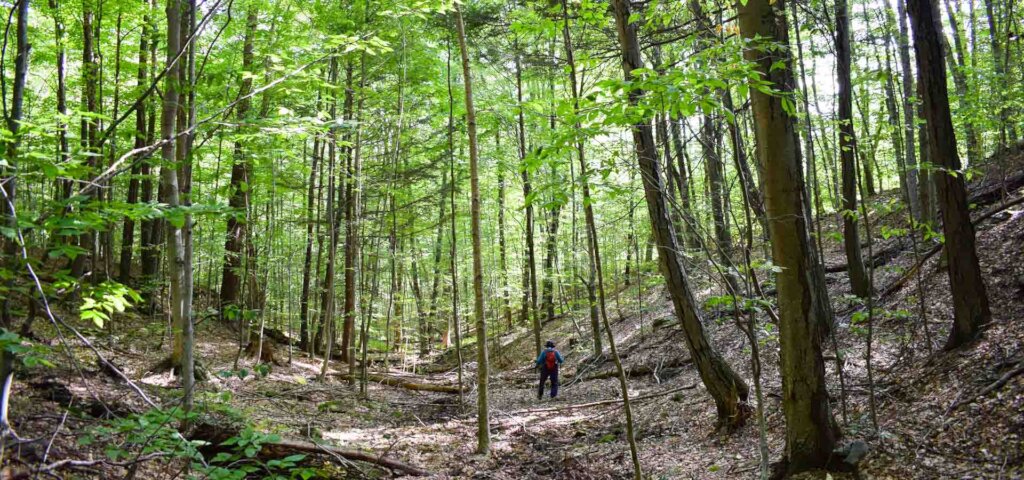 Green Mountain Conservancy Land Conservation Fund